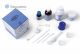 TOK Rebase II Kit FLP (Polvere, Liquido, Adhesive, accessori)